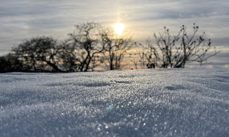Mindful jul på Malergården