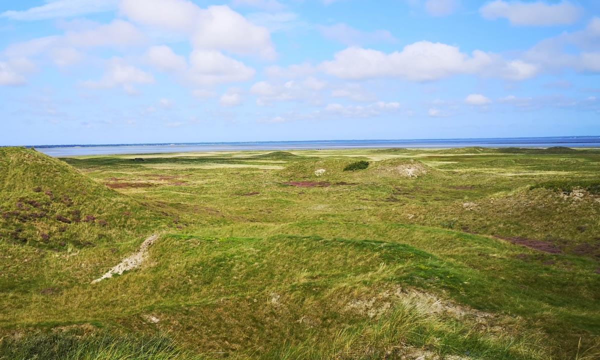 Mindfull stillevandring ved 