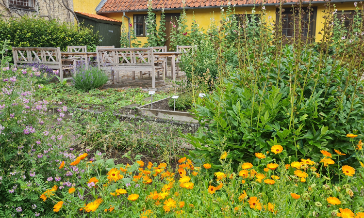 Fortællinger om Sorø - Bursers Apotekerhave