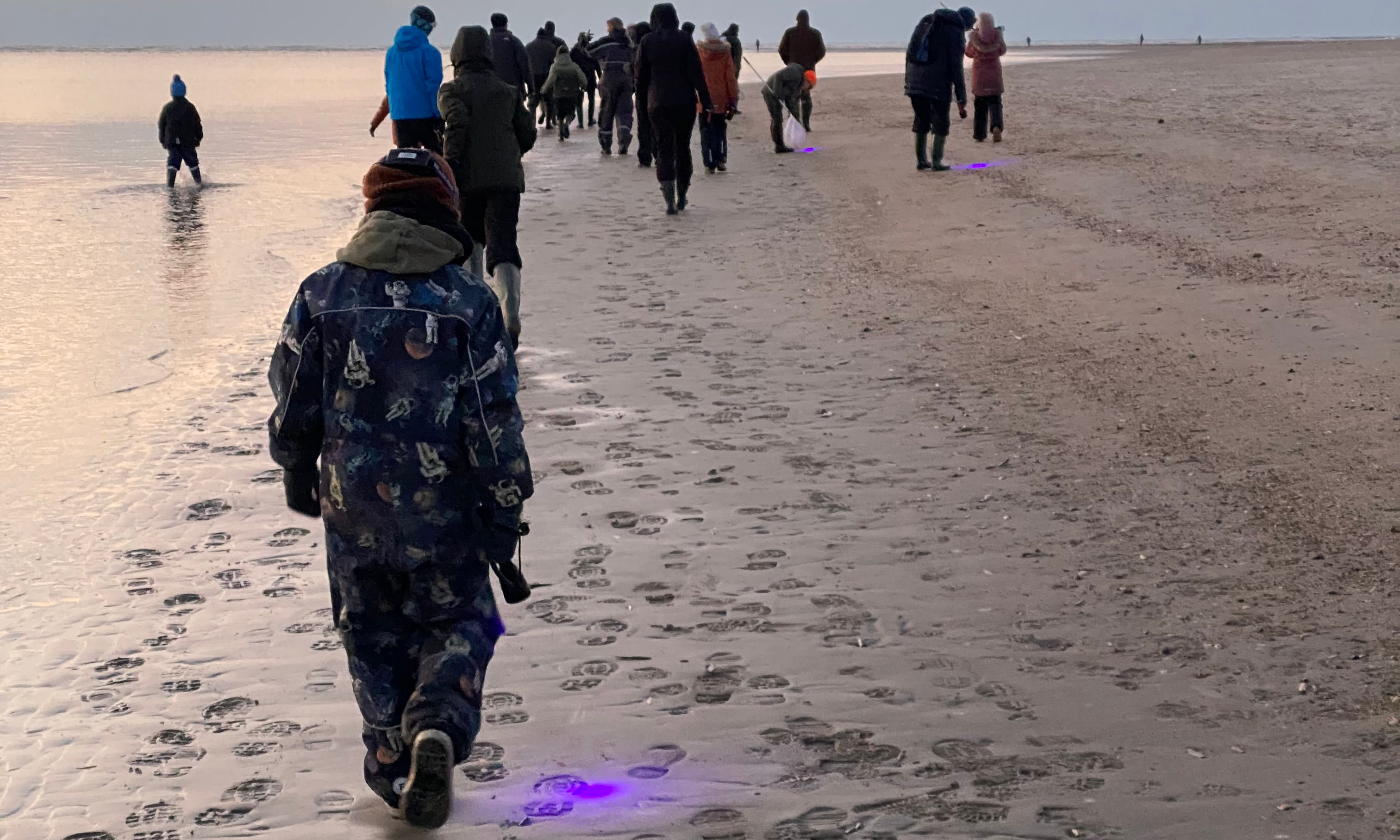 Bernsteinsuche im winterlichen Dunkel: Entdeckungen mit UV-Licht