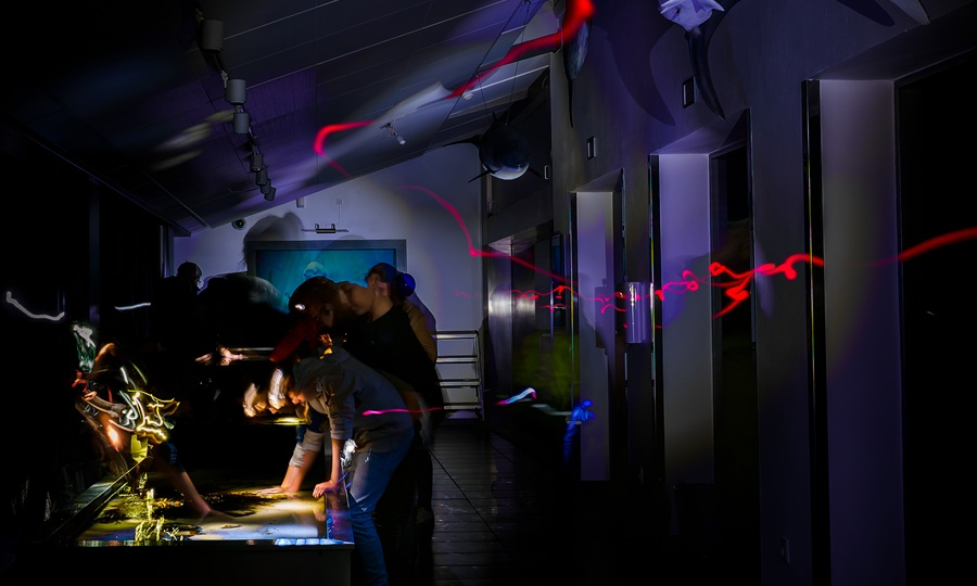 Foredrag på Øresundsakvariet - Den ukendte verden på bunden af dybhavet - Dybhavsgrave og minedrift