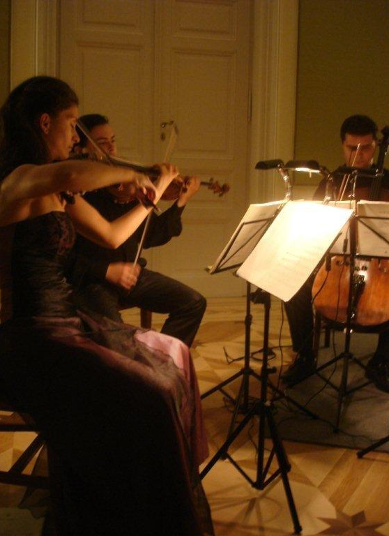 Quartettissimo XVI. Európai Vonósnégyes Fesztivál a Károlyi Kastélyban