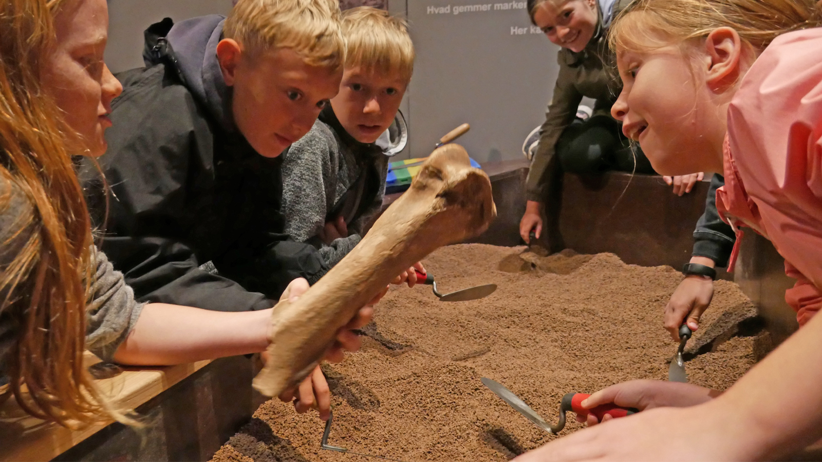 Grav jer ned i fortiden –Arkæologi for hele familien