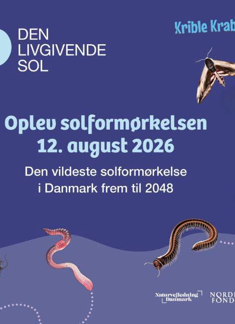 Oplev solformørkelse på Fugledegaard i Naturpark Åmosen