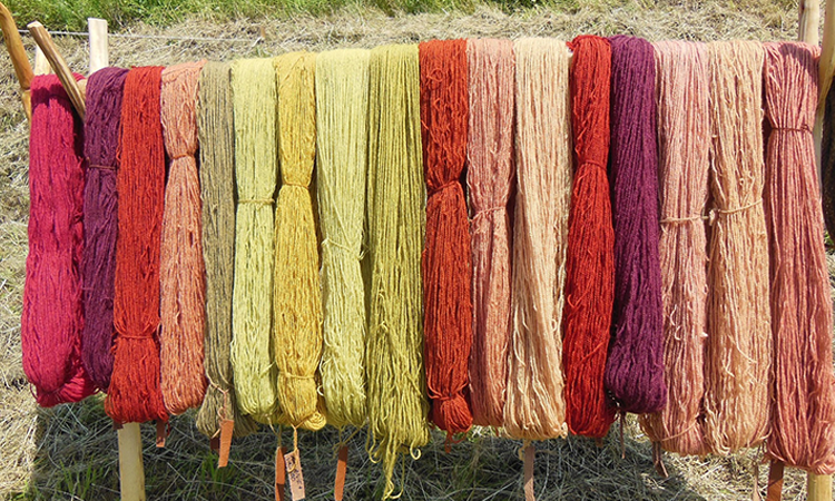 Lær at farve dit eget garn med plantefarver