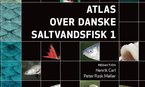 Foredrag på Øresundsakvariet - Fra Skagerrak til Østersøen – Hvad har vi lært af fiskeatlasset