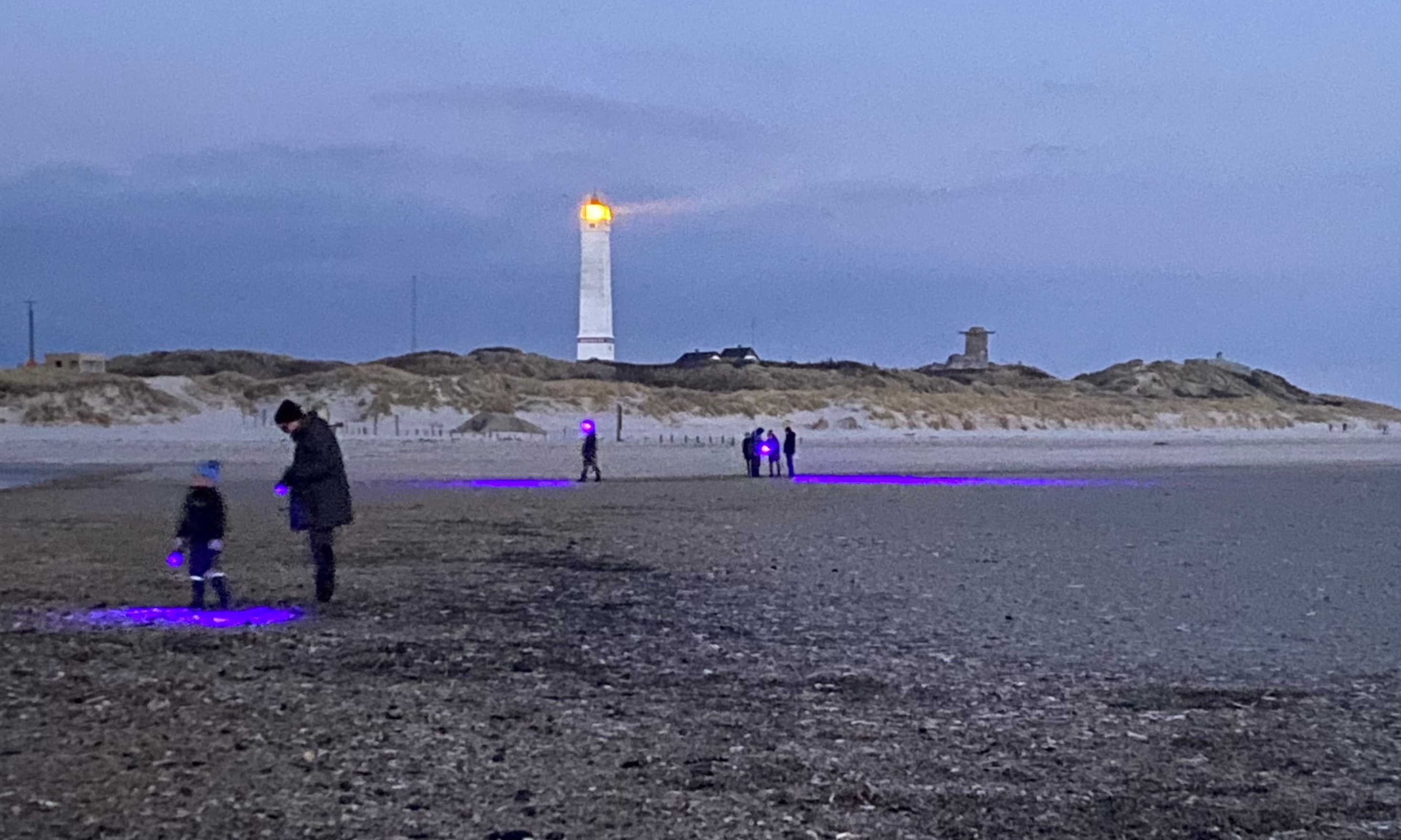 UV-safari i mørket – leg, læring og lys på stranden med NaturKulturVarde