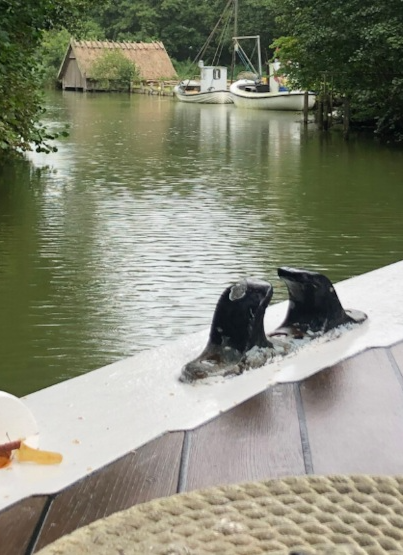 Nattergaletur - Oplev nattergalens sang og pinsesolen på Arresø