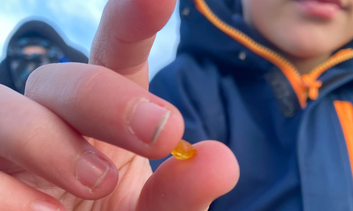 Auf der Suche nach Bernstein – das Gold des Nordens!