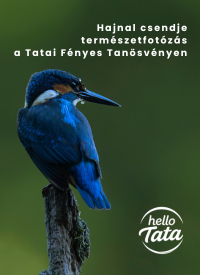 Hajnal csendje természetfotózás a Tatai Fényes Tanösvényen