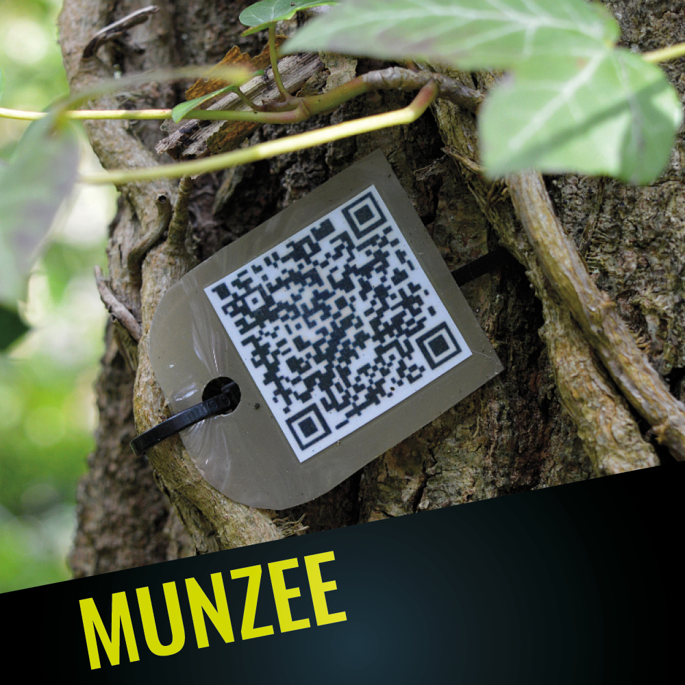 Munzee túra a Mátrában 1 fő részére