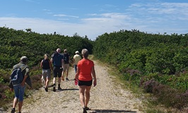 De tilsandede ege - Vild vestjysk natur
