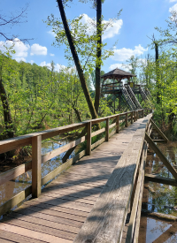 Fényes Tanösvény csoport