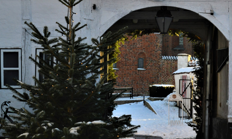 For hele familien – Syng julen ind