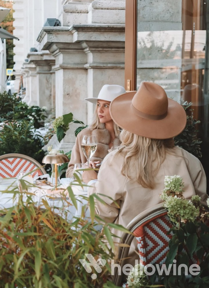 IDA borkóstoló szívhez szóló borokkal egy kivételes békebeli környezetben