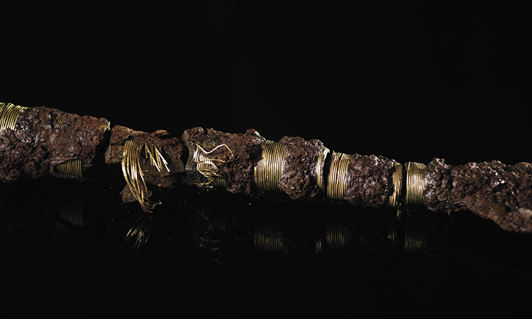 Foredrag om sensationelt fund – hør arkæologen fortælle