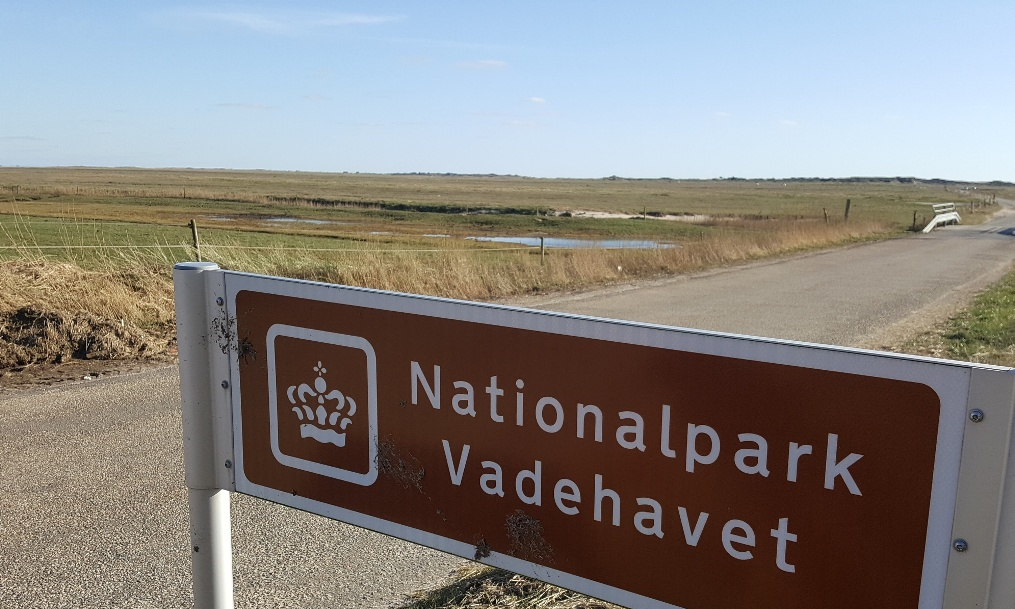 Vandretur på Skallingen