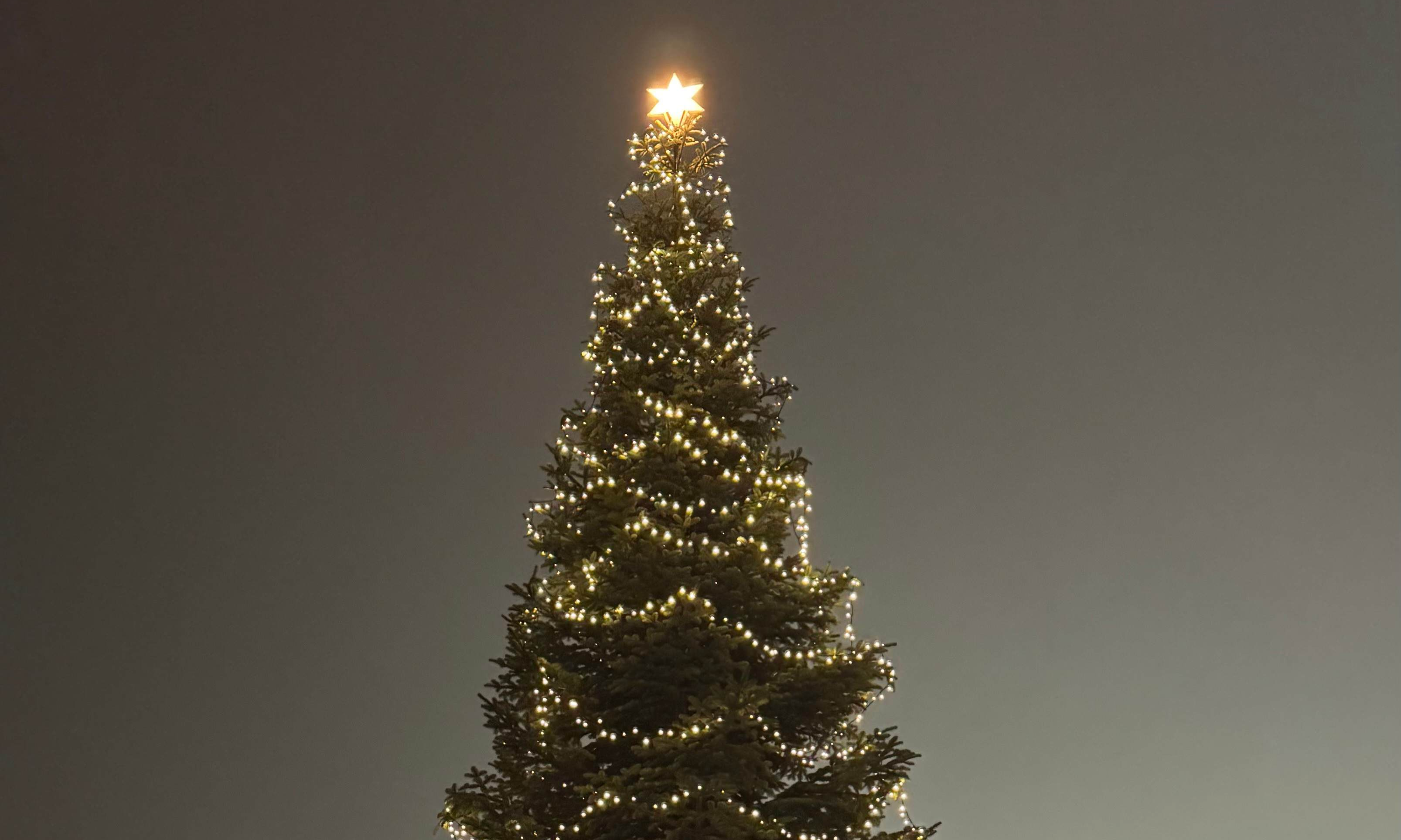 Rådhusets juletræstænding