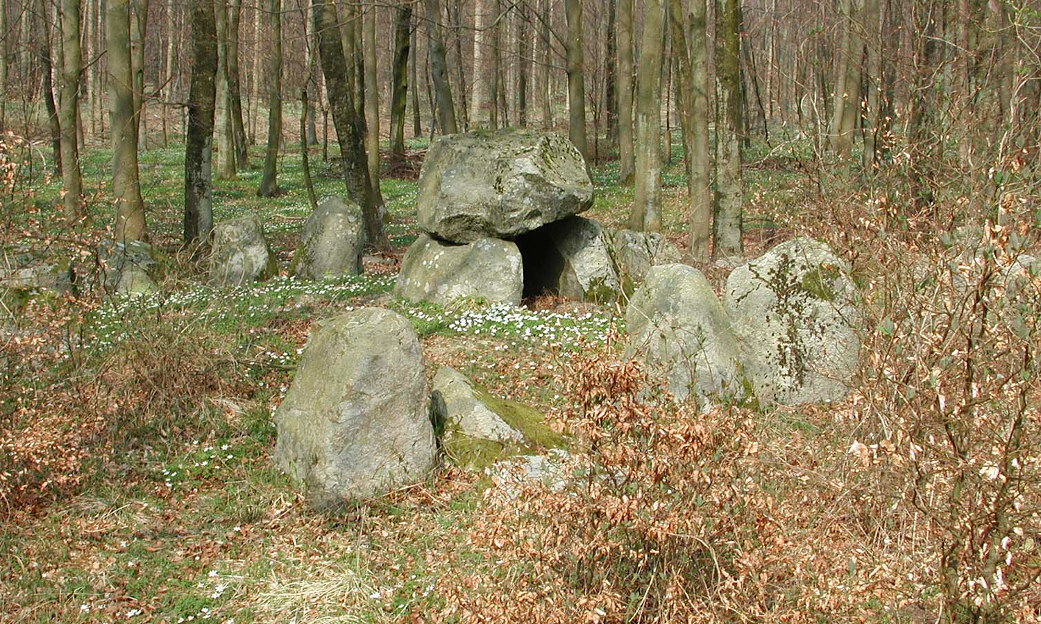 Neolitisk Netværksmøde 2026-05-06