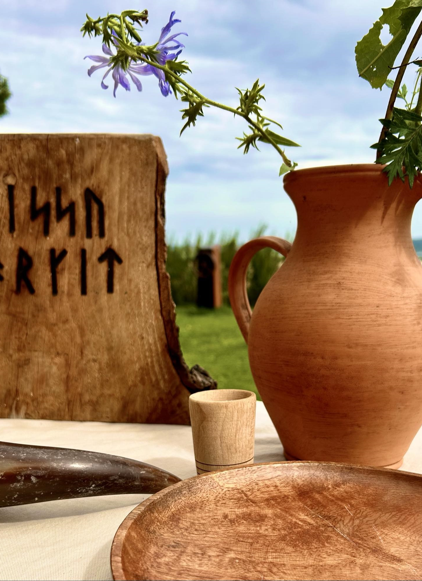 Vikinge-langbordsmiddag til SOLFESTIVAL