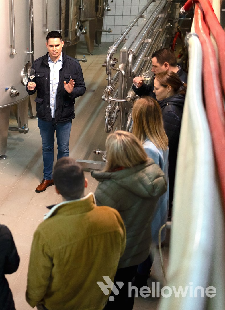 Óhegyi borkóstoló a lenyűgöző kőbányai pincerendszerben