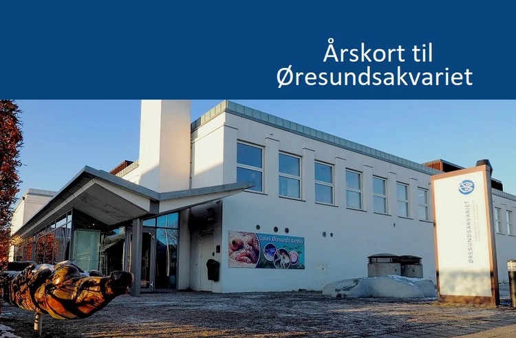 Årskort til Øresundsakvariet