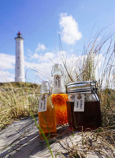 Snapsetur Lyngvig Fyr