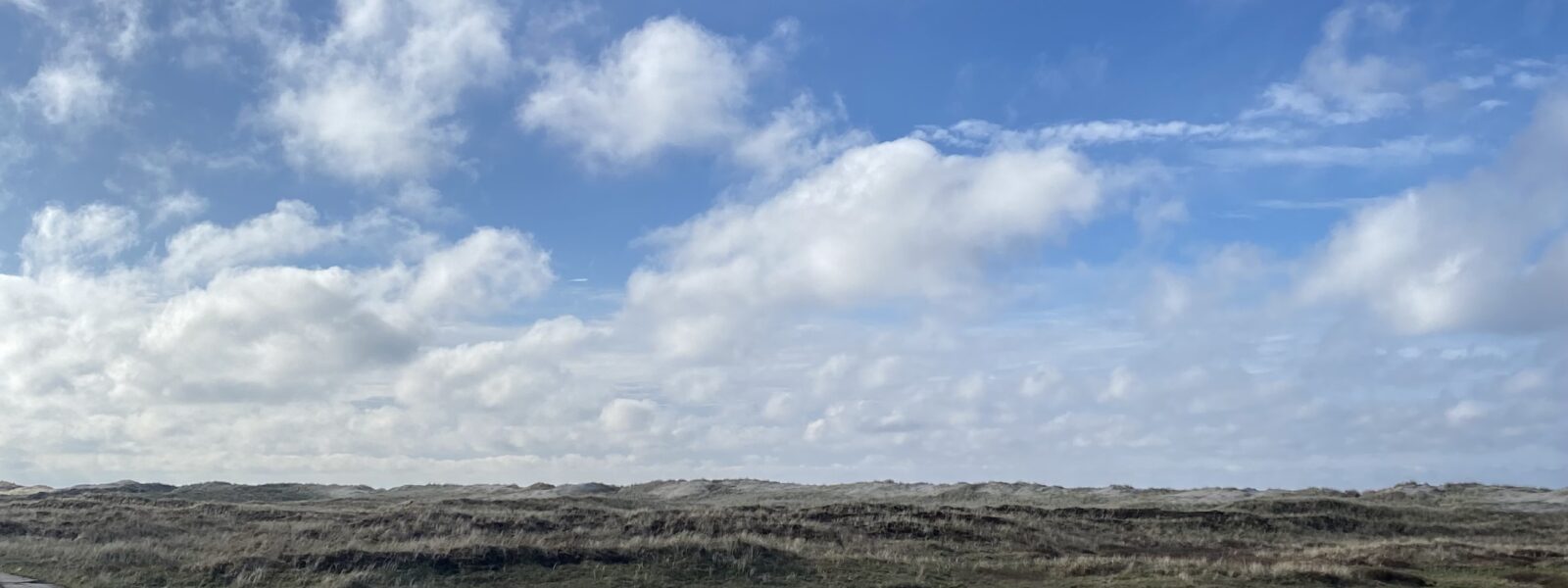 Ekspedition til Verdens Ende: Tag med på vandring i den vilde nationalpark