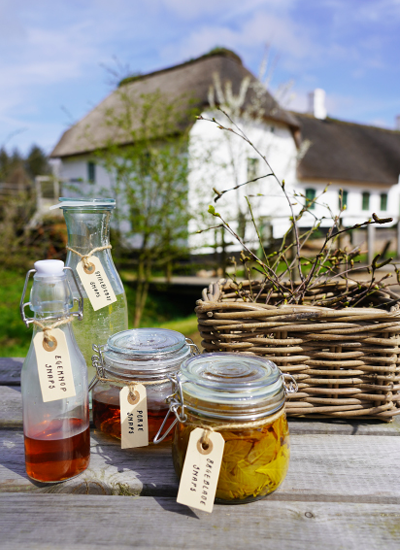 Snapsetur i Bjørnemosen