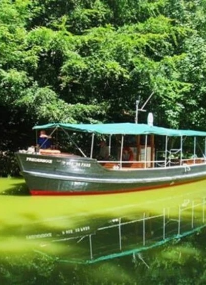 Kom på sejltur med sømandssange på Arresø