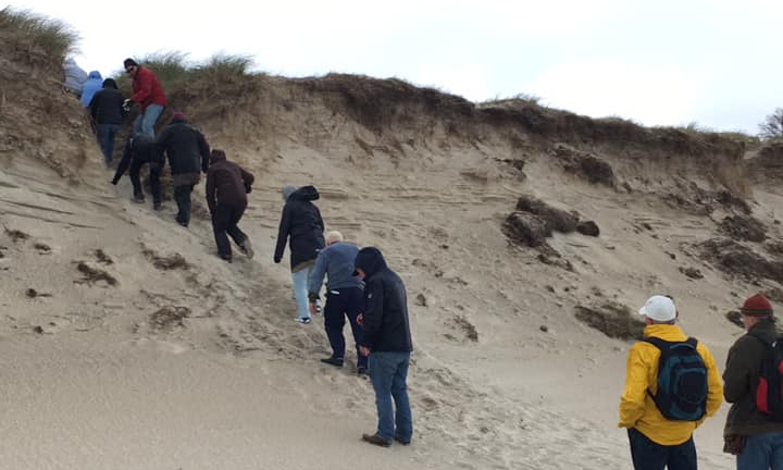 Nationalpark Dag 2026: Oplev en sonetkrans af Vadehavsoplevelser - gratis aftenvandring