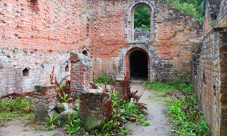 Rundvisning – Antvorskov Klosterruin