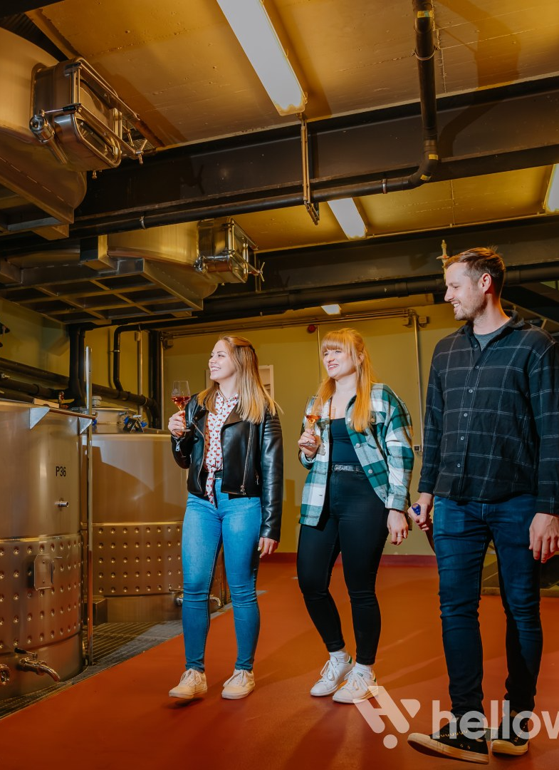 Pannonhalmi Főapátság borkóstoló pincetúrával egybekötött sétáló kóstolóval